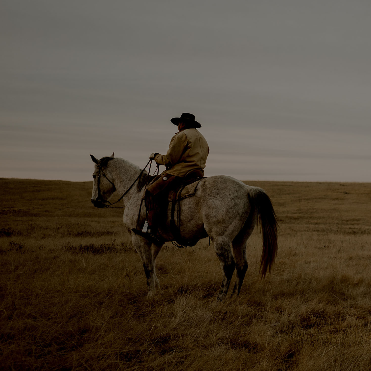 Soundtrack of Alberta